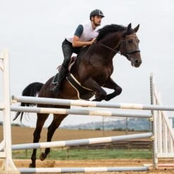 Horze Men's Grand Prix Full Seat Breeches - Black -Equestrian Riding Clothing 382121 800 800