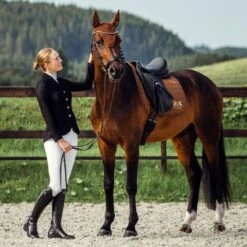 B Vertigo Women's Gabrielle Mesh Show Jacket - Black -Equestrian Riding Clothing 384744 800 800