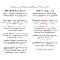 Champion Air-Tech Classic Helmet - Metallic Navy -Equestrian Riding Clothing 408663 800 800