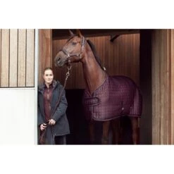 Catago Women's Malena Jacket - Black 5 Catago Women's Malena Jacket - Black -Equestrian Riding Clothing 423705 800 800