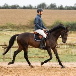 Horze Men's Grand Prix Full Seat Breeches - White -Equestrian Riding Clothing 649471 800 800