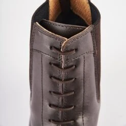 Shires Moretta Women's Anita Paddock Boot - Brown -Equestrian Riding Clothing 684678 800 800