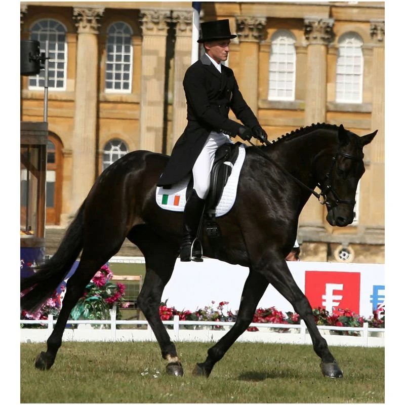 Tredstep Men's Verde Knee Patches Breeches - White 2 Tredstep Men's Verde Knee Patches Breeches - White - Image 2